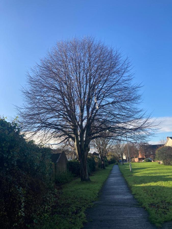 Villa Entire Terraced Two Story Redbrick House With Parking In Secluded Cul De Sac Dublin Exterior foto
